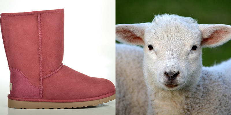 are uggs made of real sheepskin