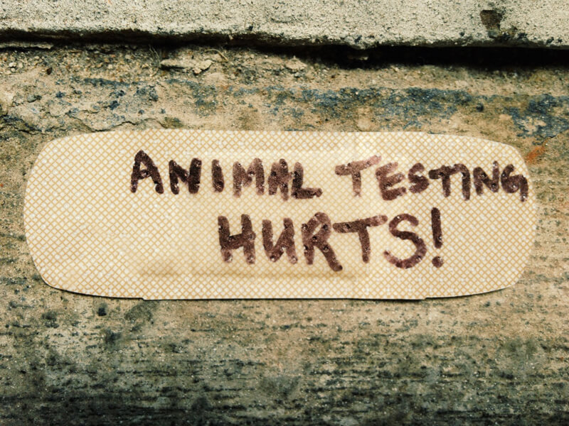 animal-testing-bandaid