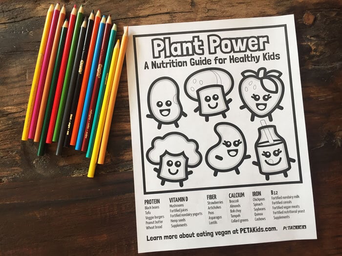 peanut plant coloring page