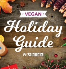 vegan holiday guide front cover image