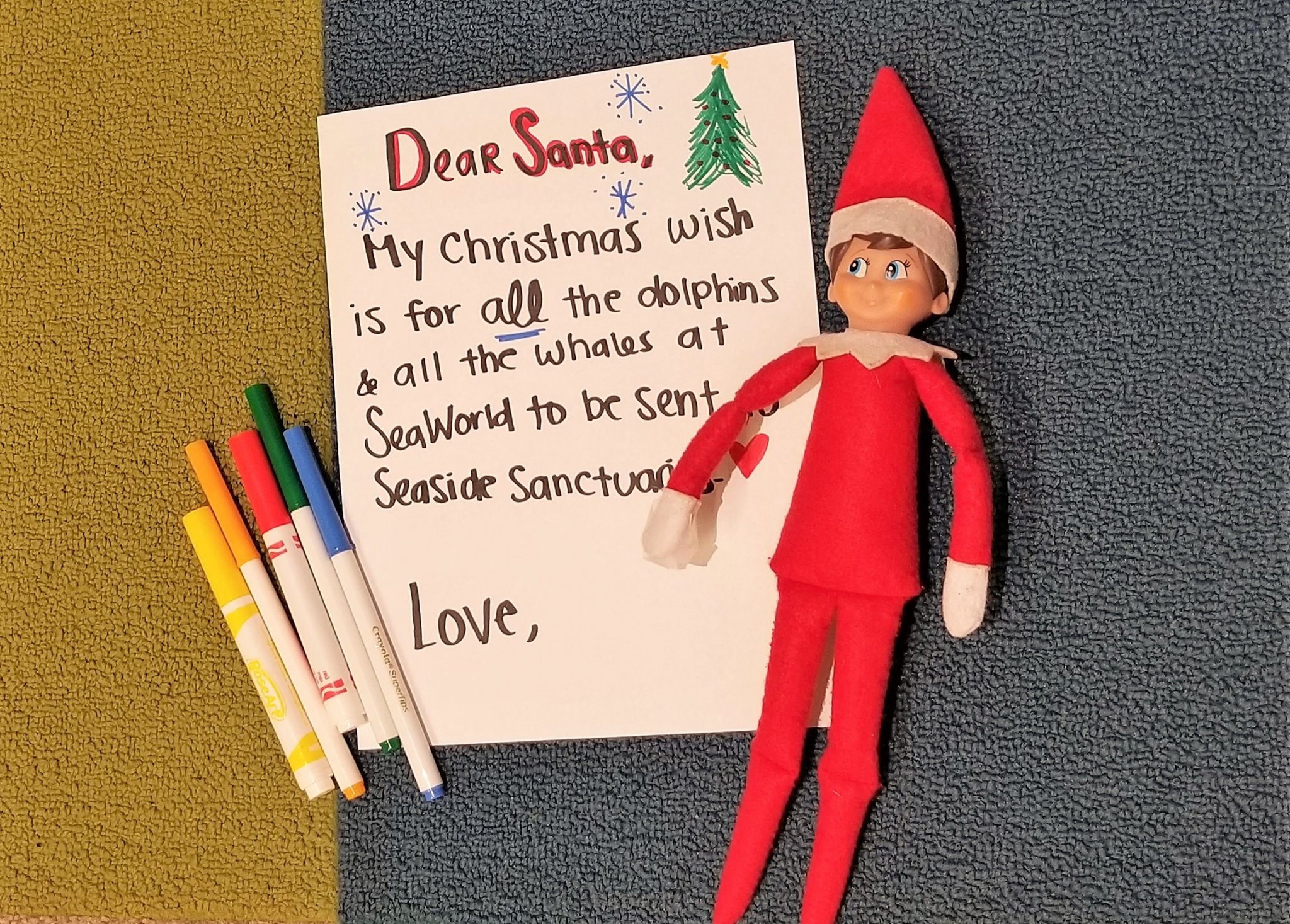 16 Ways to Tell if Your Elf on the Shelf Is Vegan | Parents | PETA Kids