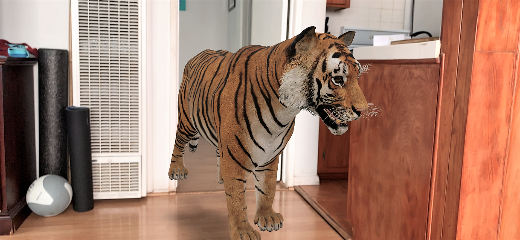 See how to bring 3D animals into your home with Google, through augmented  reality