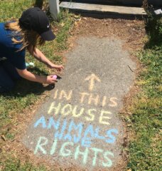 in this house animals have rights chalk art