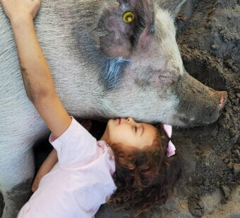 girl hugging a pig