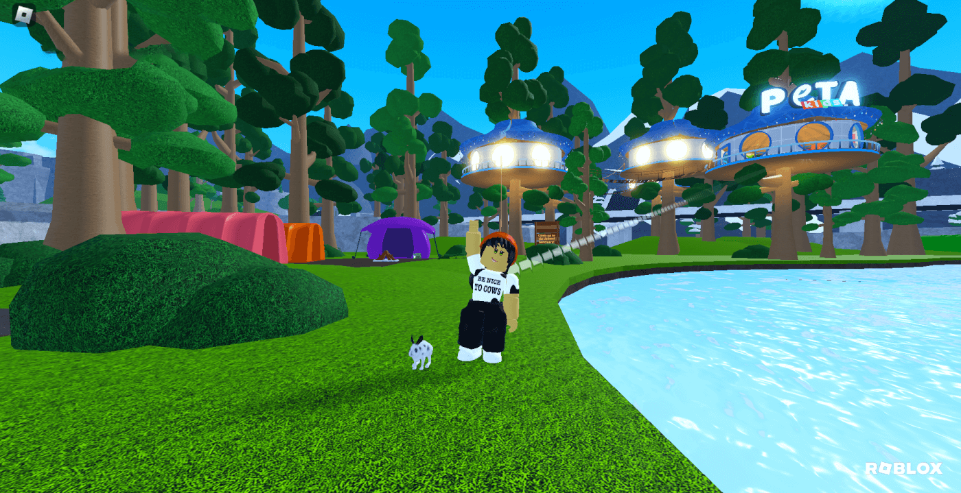 ROBLOX - GAME