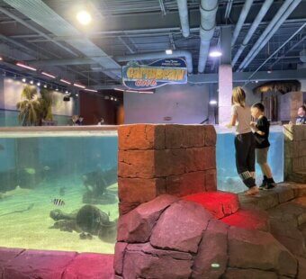 Kids unsupervised at a SeaQuest touch tank