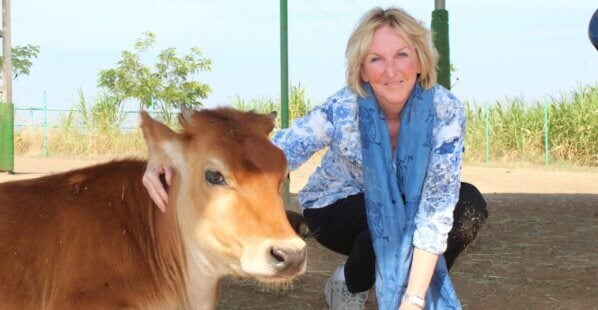 PETA founder Ingrid Newkirk with a cow