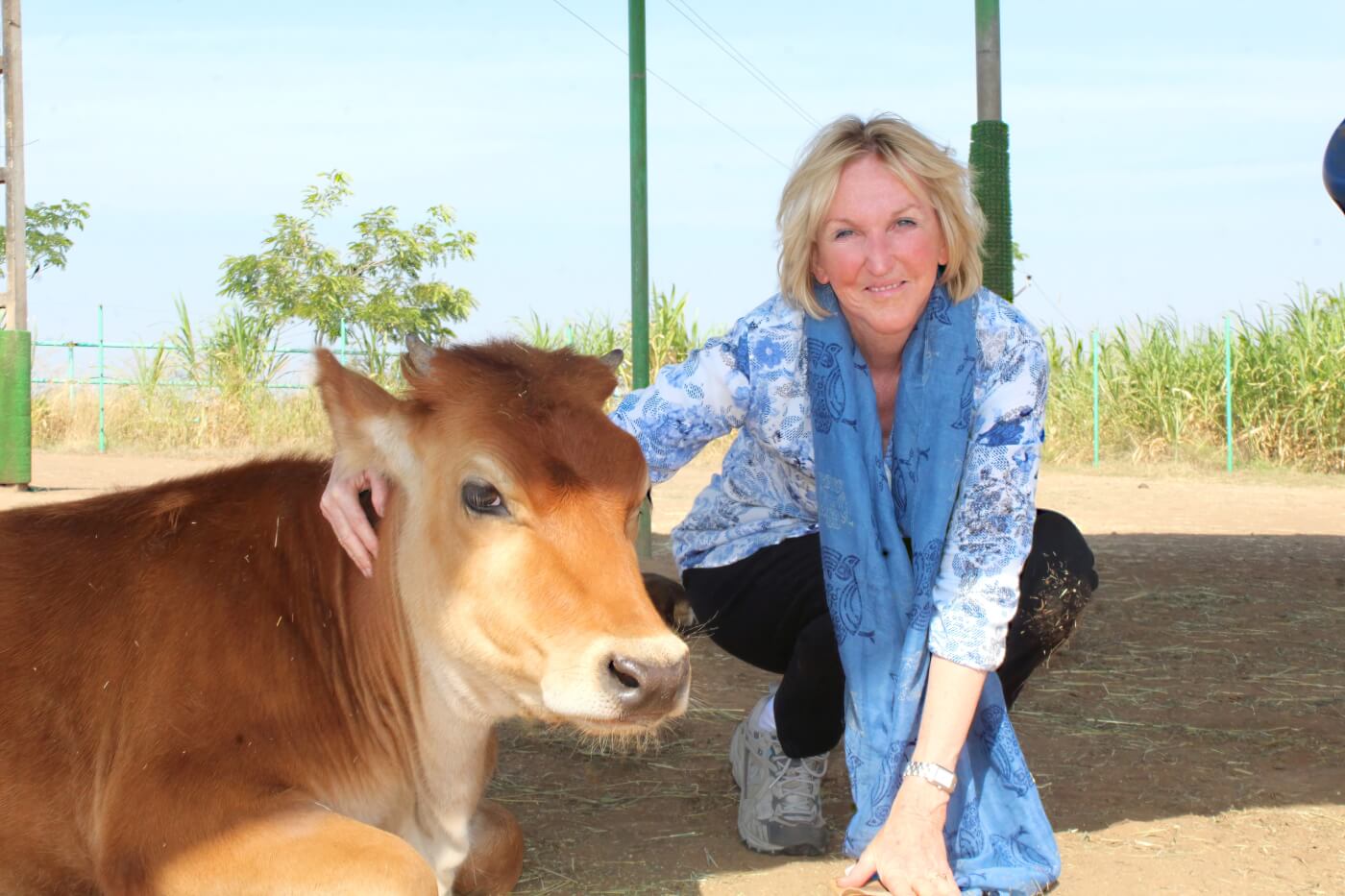 PETA founder Ingrid Newkirk with a cow