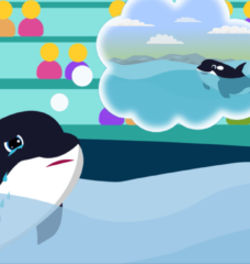 Corky the Orca’s Sad Story