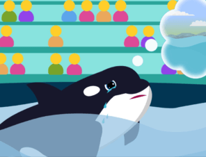 Corky the Orca’s Sad Story