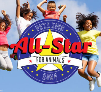 PETA Kids All-Star for Animals 2024 Contest