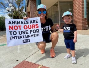 Want to Donate to PETA Kids? Here’s How!