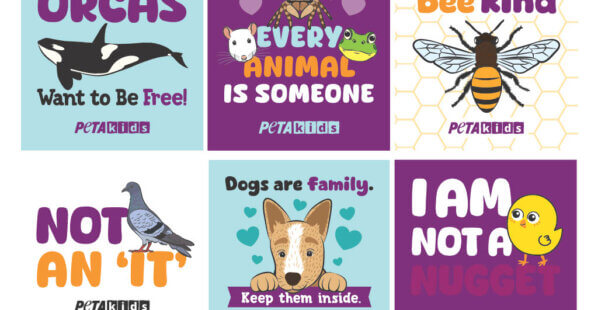 PETA Kids stickers