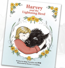 Harvey and the Lightning Herd Front Book Cover