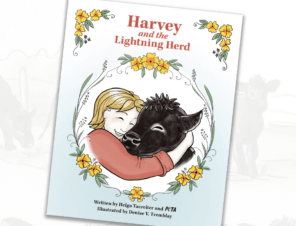 Harvey and the Lightning Herd Front Book Cover