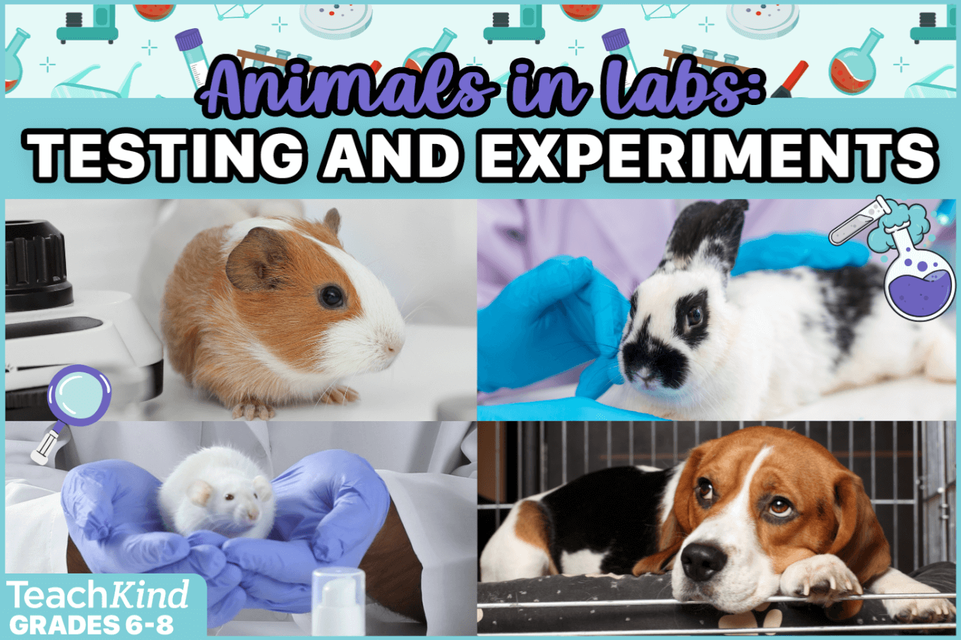 Animals in Labs Kahoot Thumbnail 
