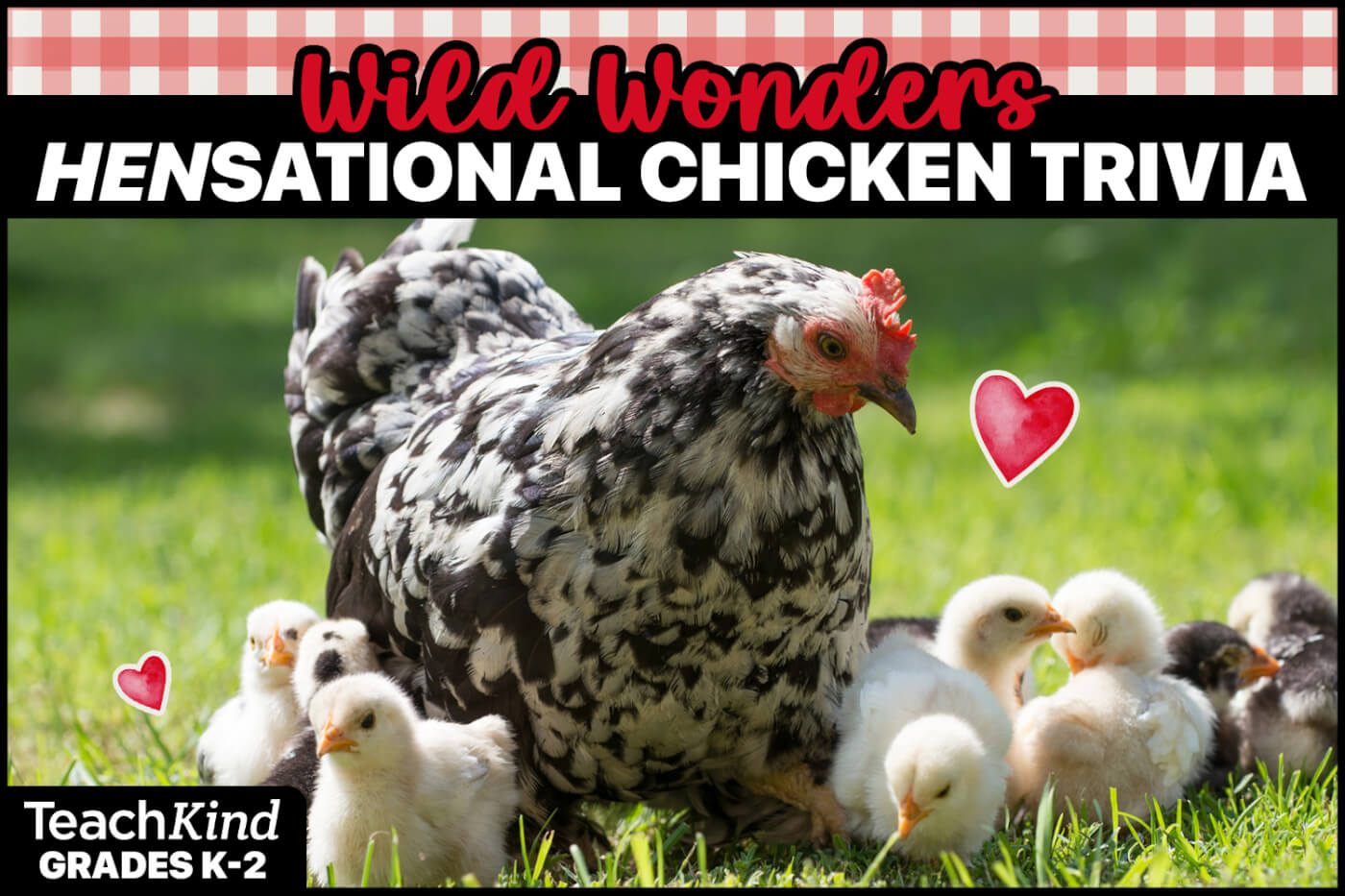 Wild Wonders Chicken Kahoot Quiz Game Thumbnail