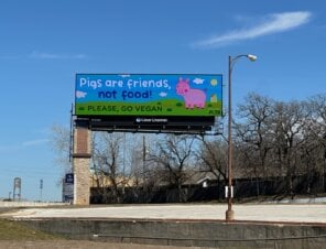 Ask ‘Peppa Pig Theme Park’ To Keep All Animals Off the Menu—Not Just Pigs!